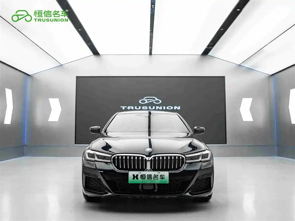 BMW 5 Series New Energy 2021