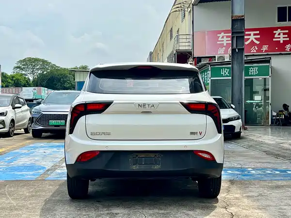 Neta V 2021