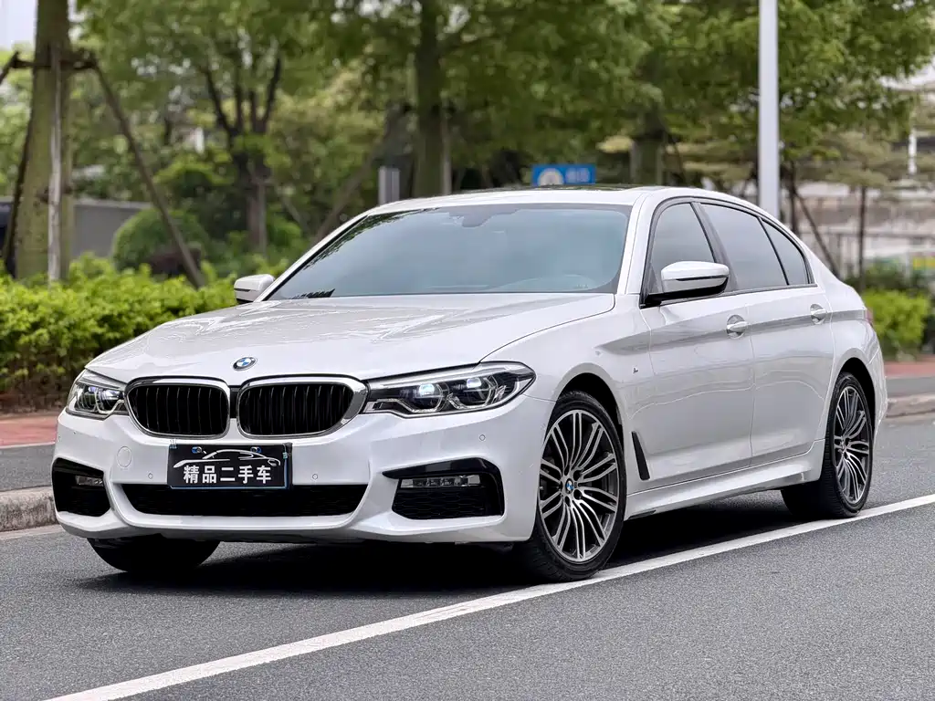 BMW 5 Series 2018 — фото 1