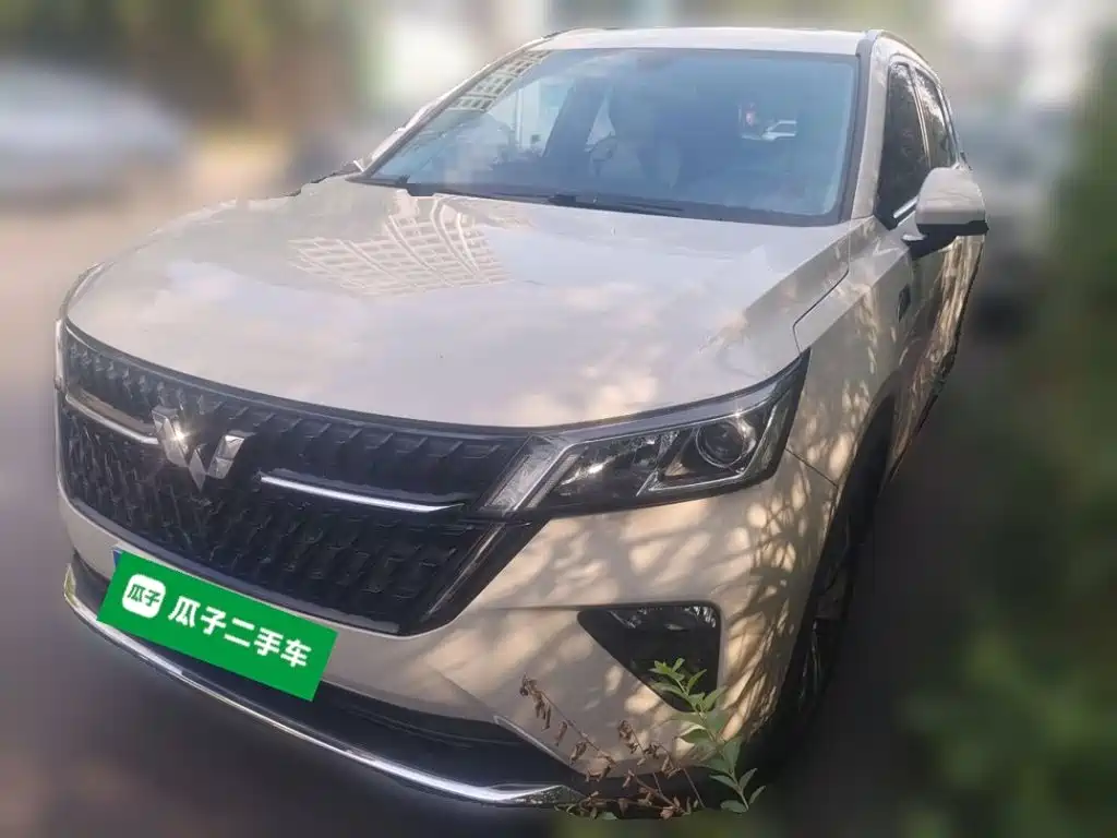 Wuling Xingchen 2022