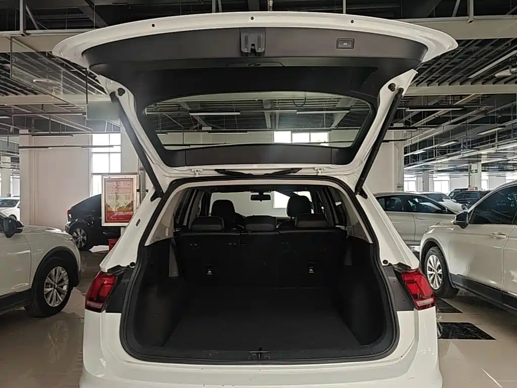 Volkswagen Tiguan L 2024 — фото 19