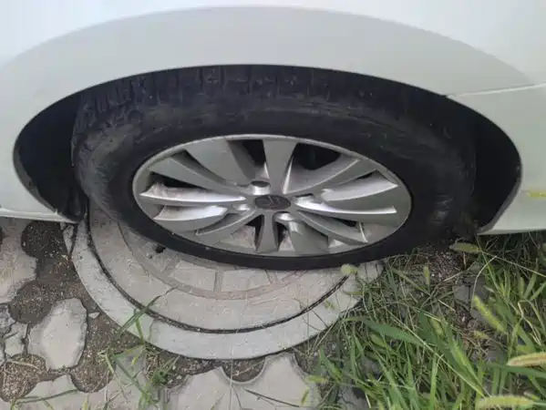Citroën Sega 2015