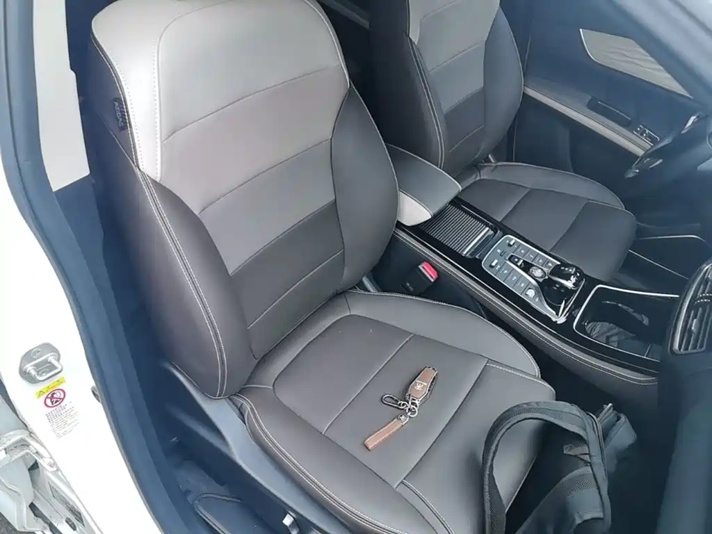 BYD Song MAX New Energy 2023 — фото 25