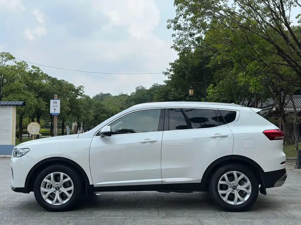 Haval H6 2020