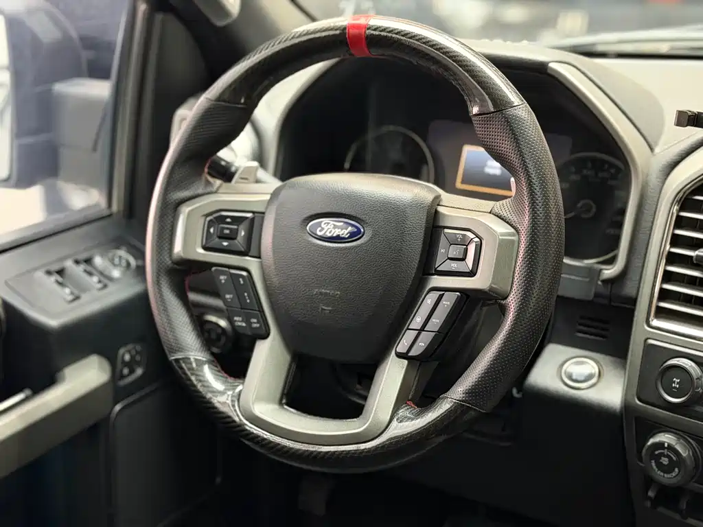 Ford F-150 Raptor 2019 — фото 13