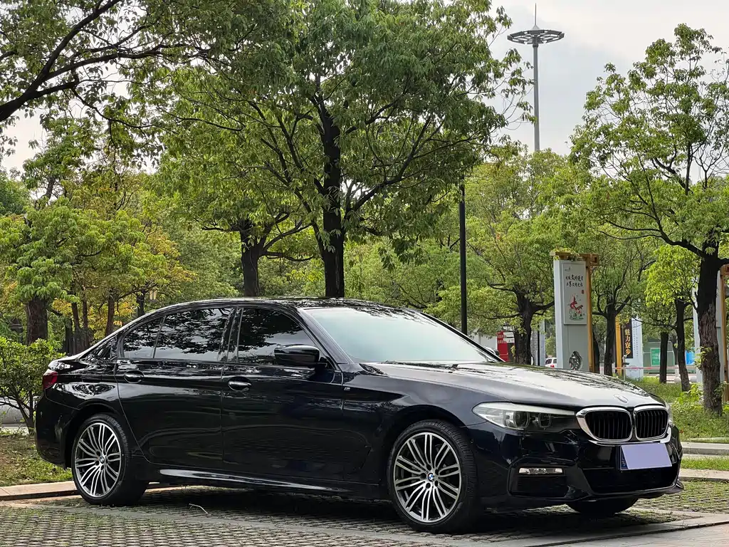 BMW 5 Series 2017 — фото 2