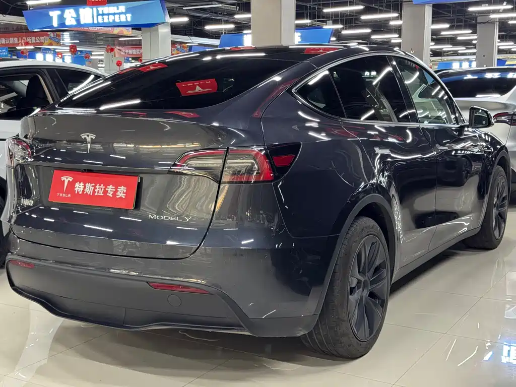 Tesla Model Y 2024 — фото 9