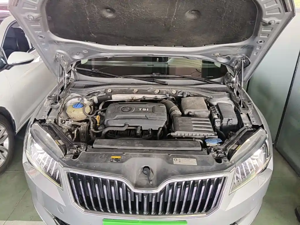 Skoda Speedy 2017 — фото 20