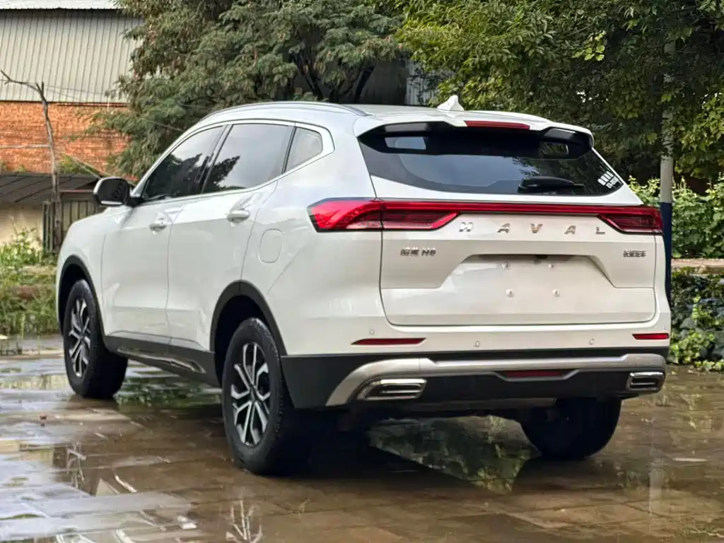 Haval H6 2023 — фото 19