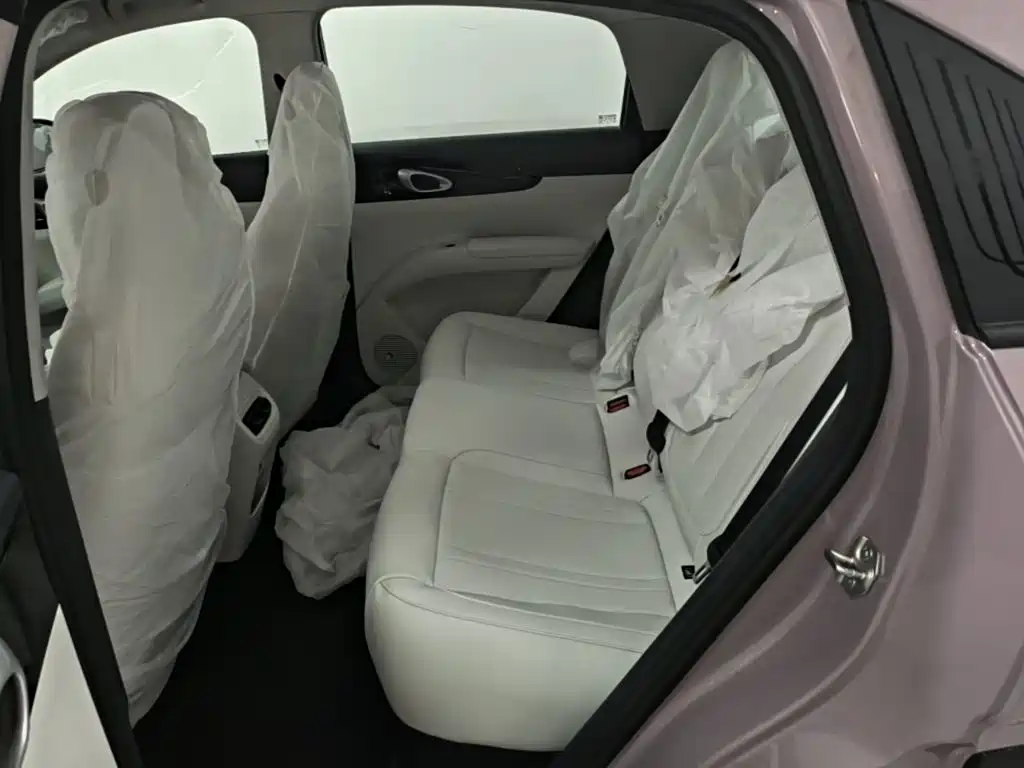Geely Galaxy Starwish 2026 — фото 17