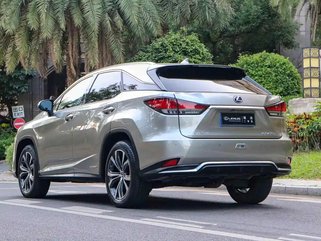 Lexus RX 2021 — фото 11