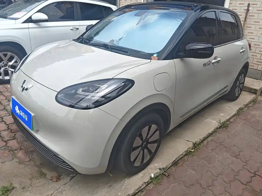 Wuling Bingo 2024