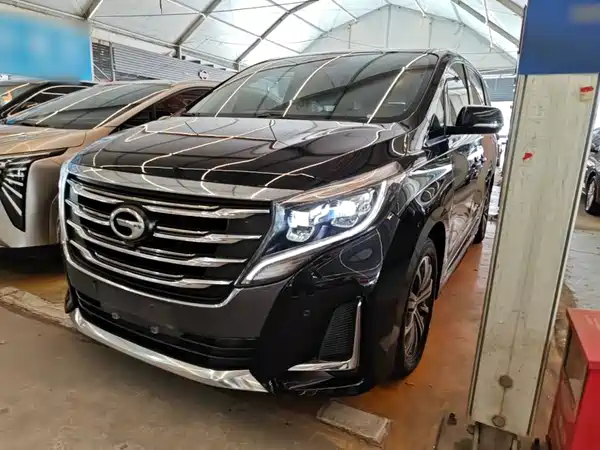 GAC Trumpchi M8 2020