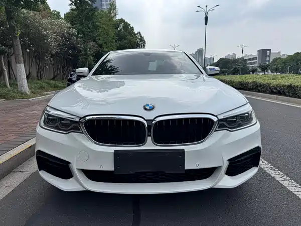 BMW 5 Series 2019