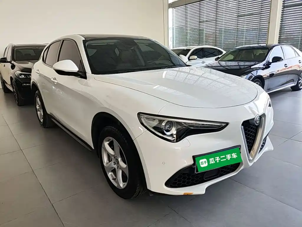 Alfa Romeo Stelvio 2019 — фото 4