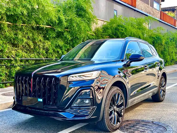 Hongqi HS5 2025