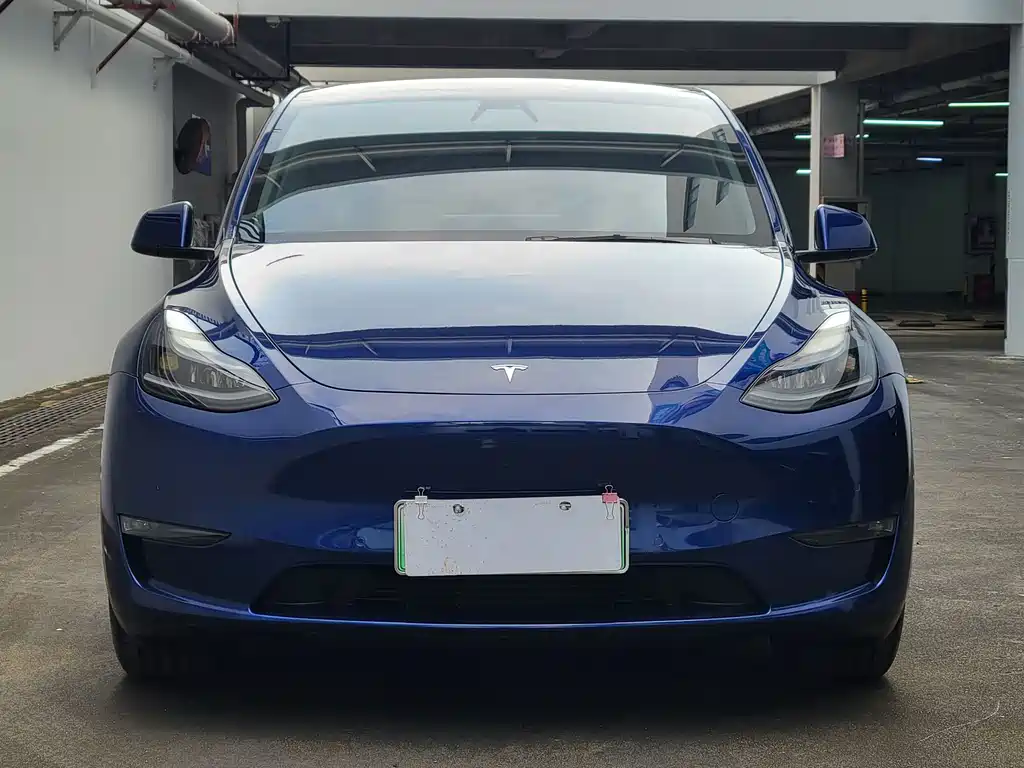 Tesla Model Y 2021 — фото 2