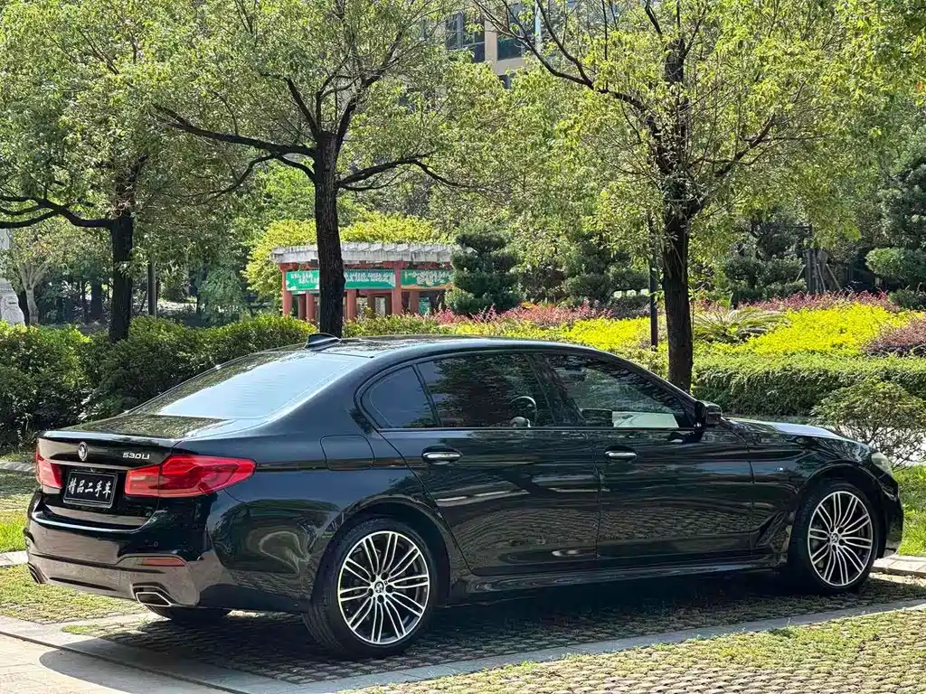 BMW 5 Series 2018 — фото 13