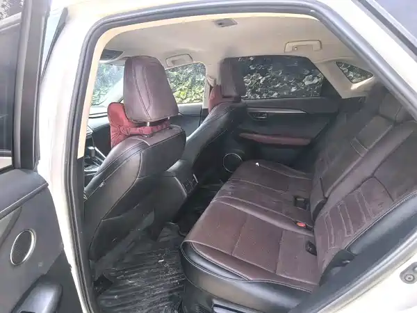 Lexus NX 2020