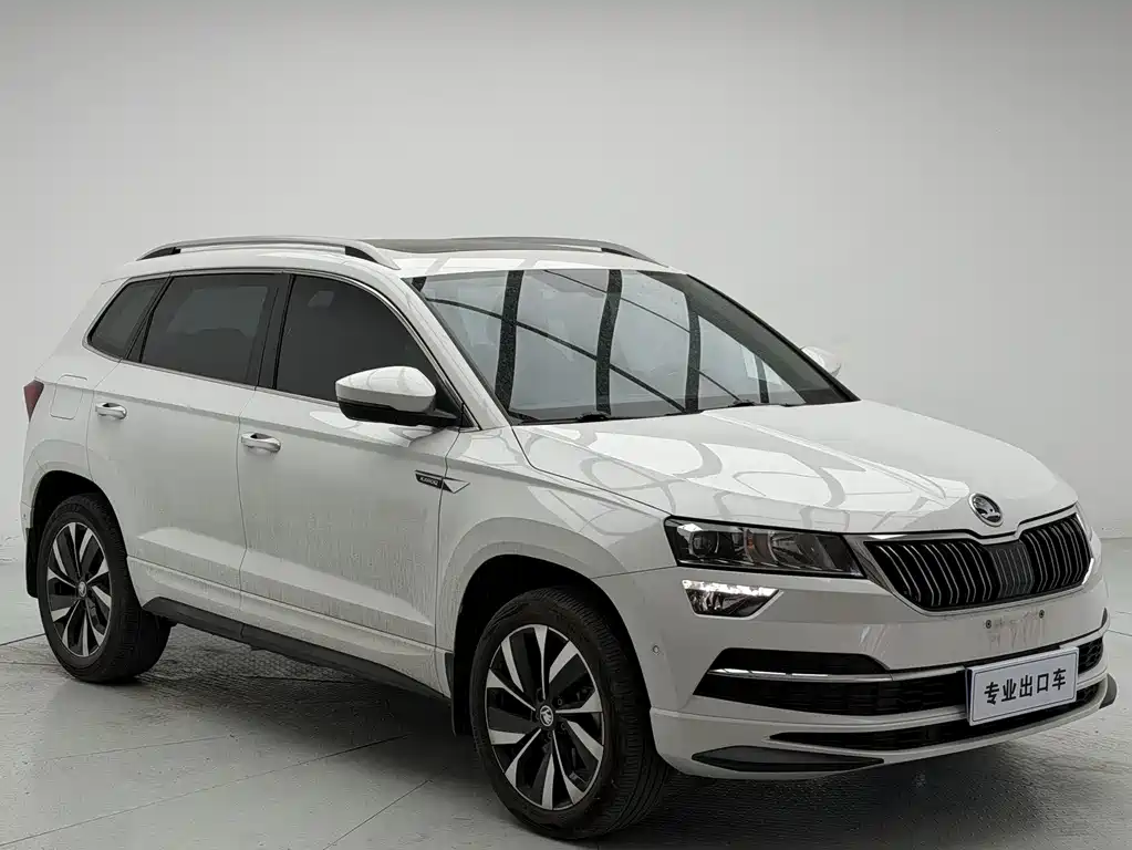 Skoda Karoq 2024 — фото 3