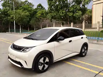BYD Dolphin 2023