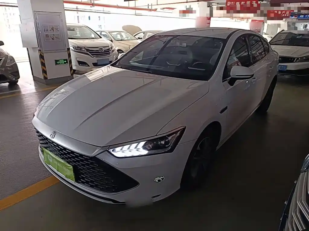 BYD Qin PLUS 2024 — фото 1