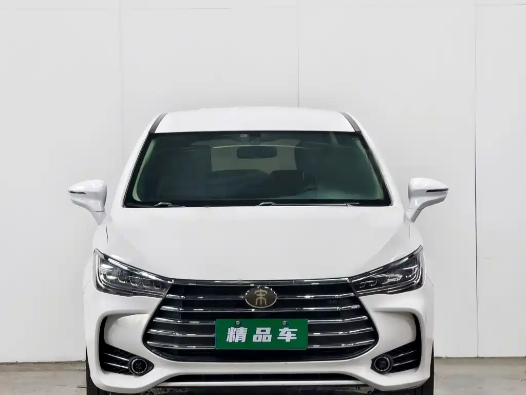 BYD MAX 2018 — фото 2