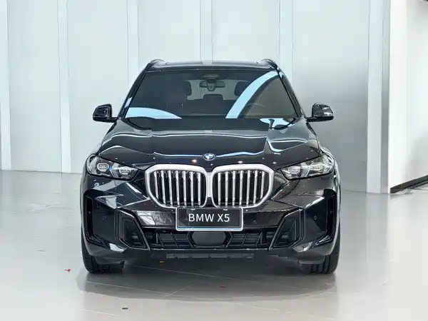 BMW X5 2024