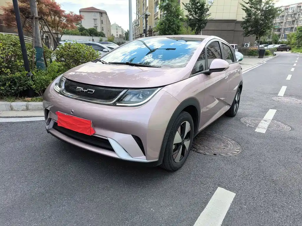 BYD Dolphin 2023