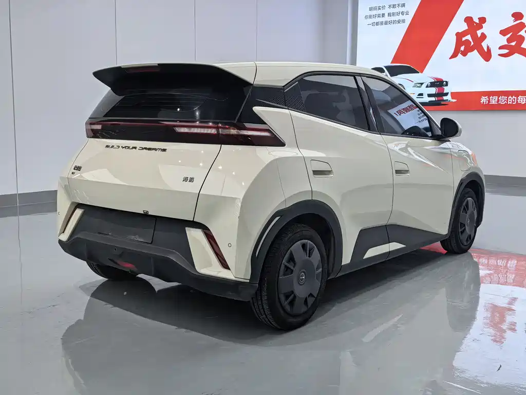 BYD Seagull 2024