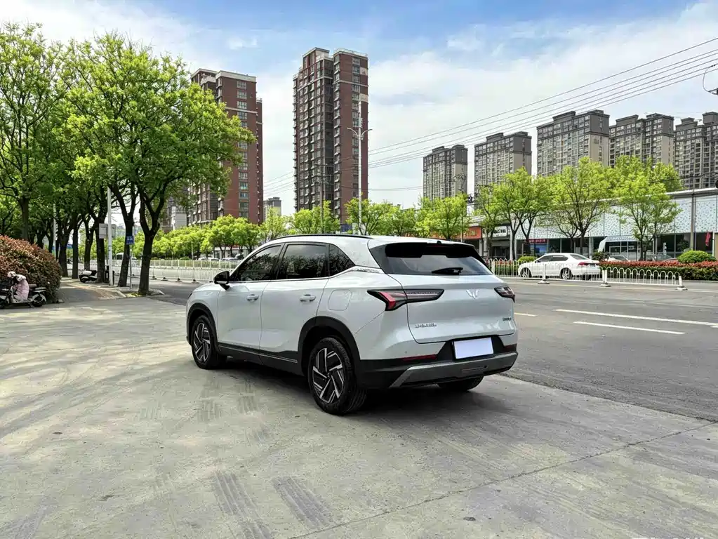 Wuling Xingguang S 2024 — фото 8
