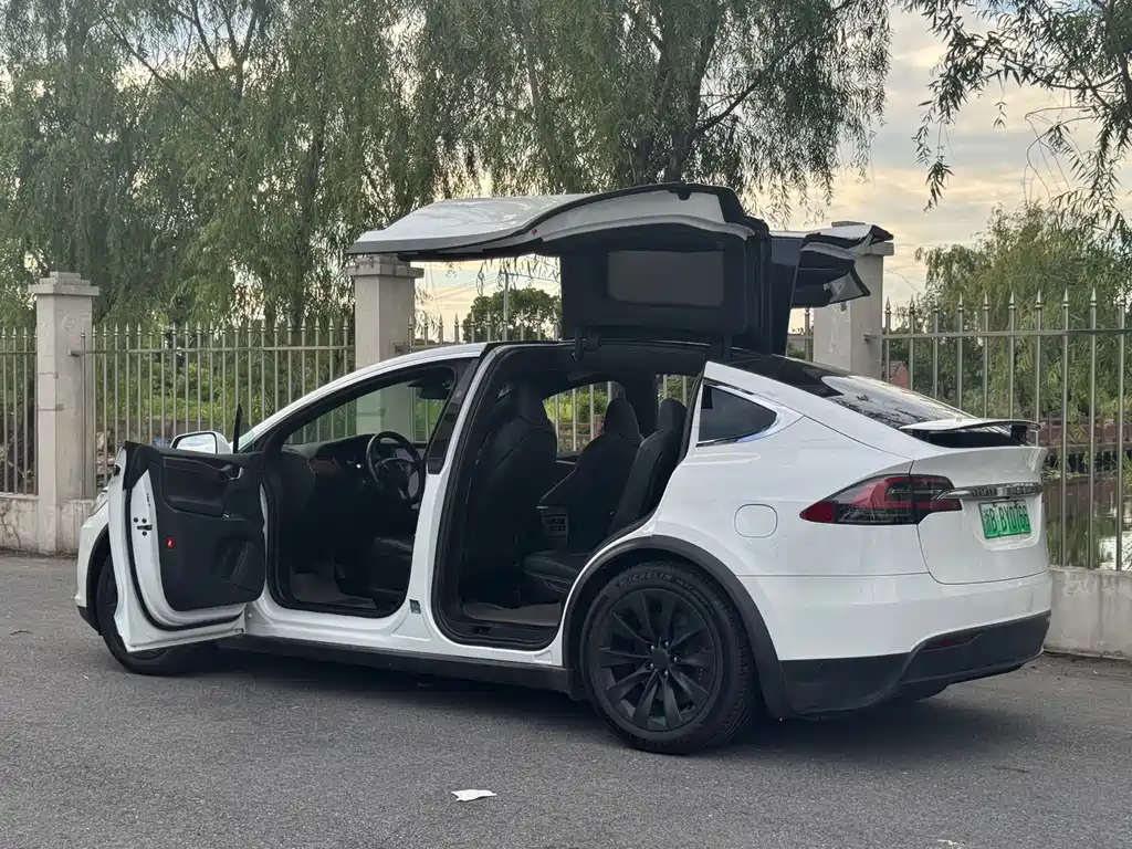Tesla Model X 2020 — фото 18