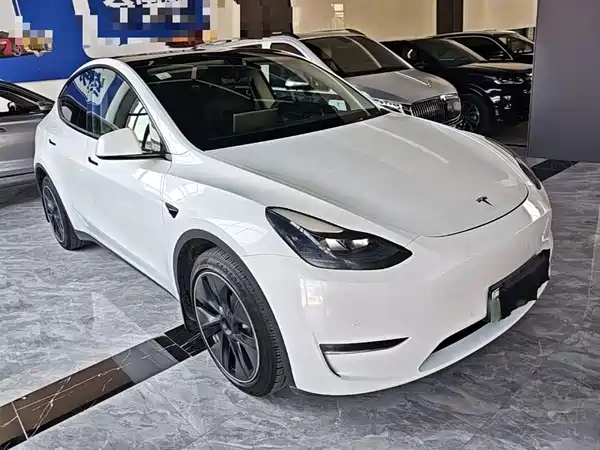 Tesla Model Y 2021