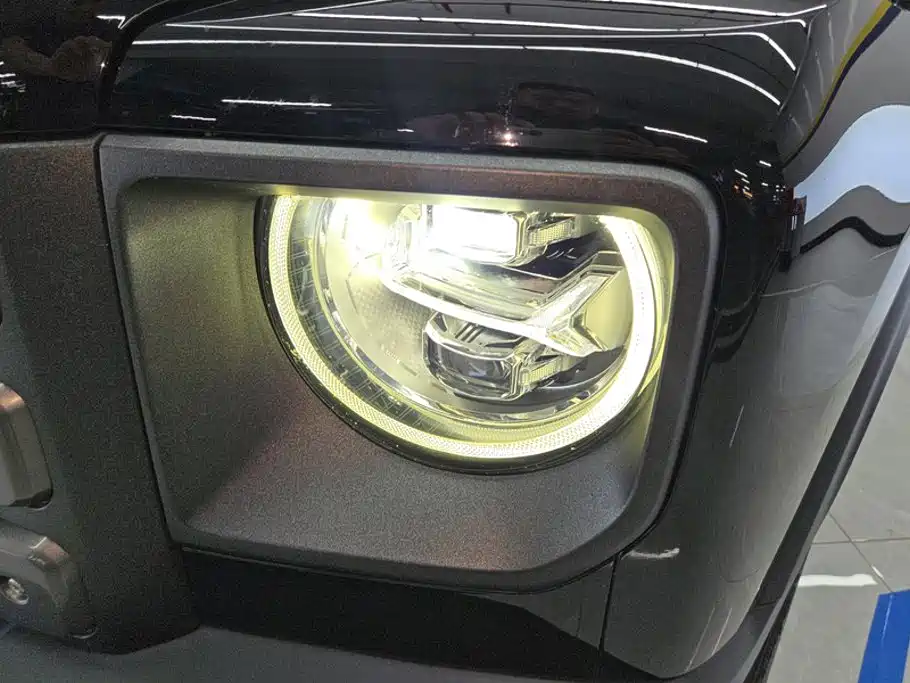 Haval Menglong New Energy 2023