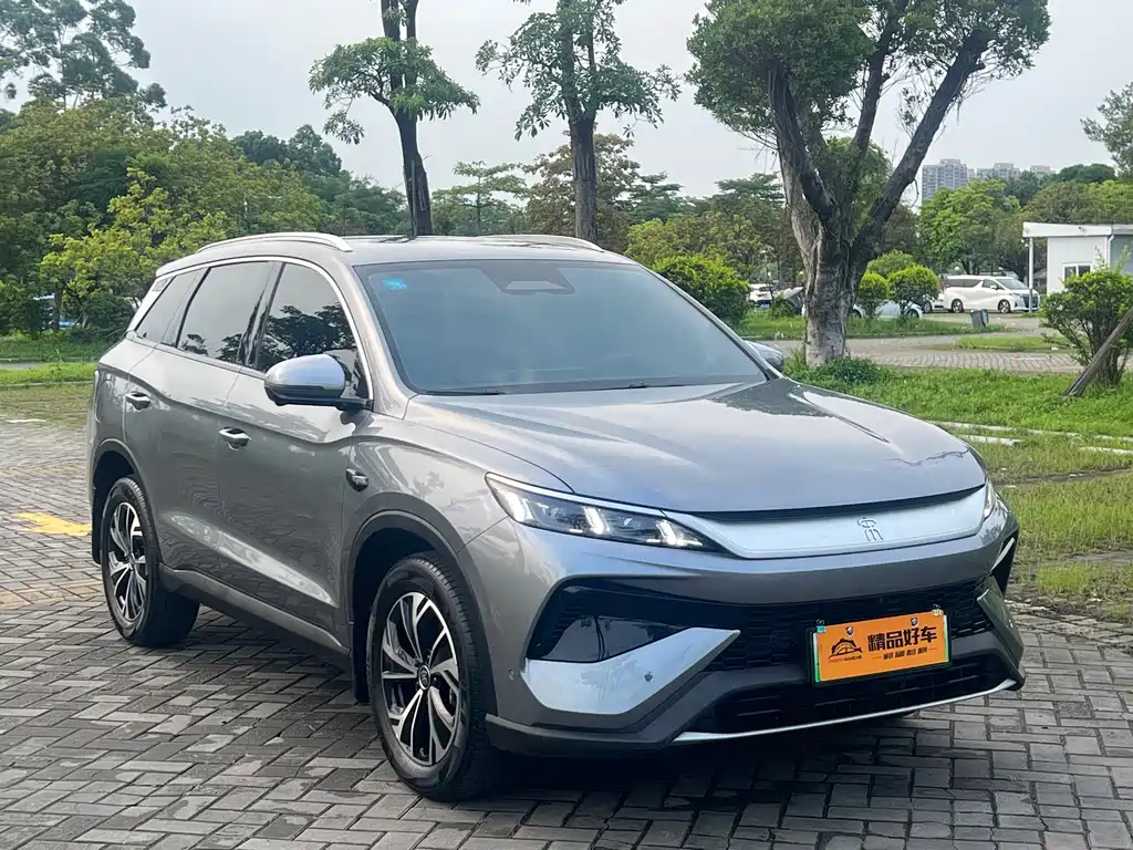 BYD Pro New Energy 2025 — фото 3