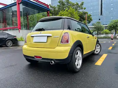MINI MINI 2010
