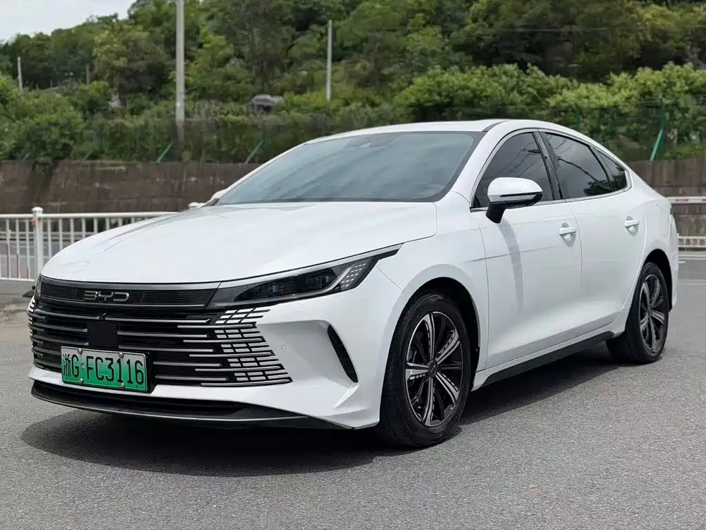 BYD Destroyer 05 2022
