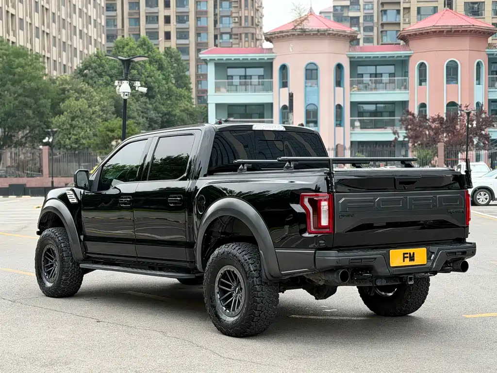 Ford F-150 Raptor 2018 — фото 16
