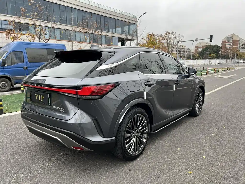 Lexus RX New Energy 2023 — фото 14
