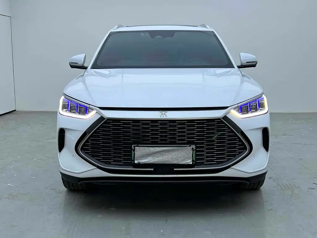 BYD PLUS New Energy 2023 — фото 2