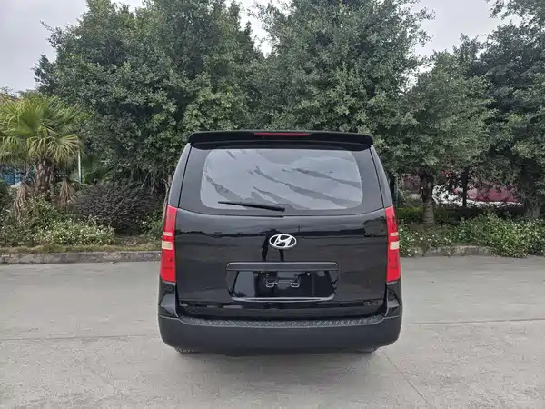 Hyundai H-1 Huiyi 2013