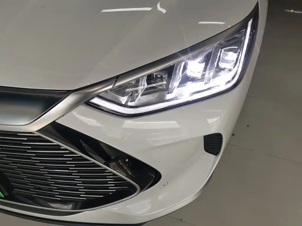 BYD PLUS New Energy 2023 — фото 24