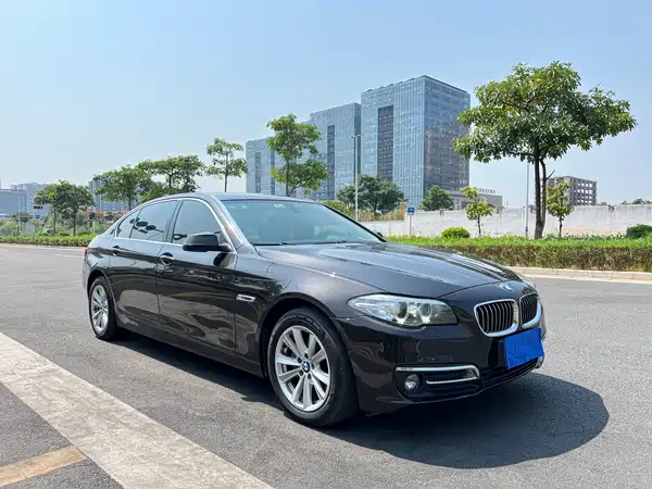 BMW 5 Series 2014