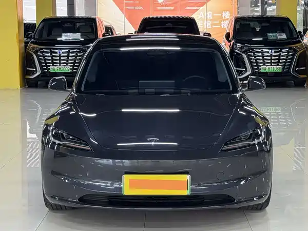 Tesla Model 3 2025