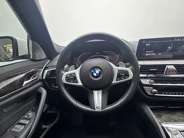 BMW 5 Series 2020 — фото 11