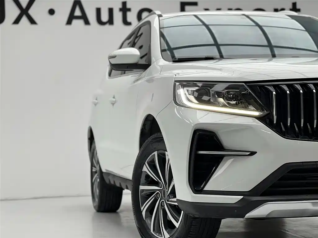 Geely Vision X6 2021 — фото 5