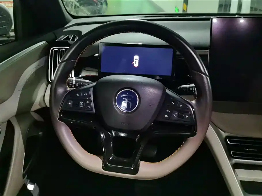 BYD Pro New Energy 2023 — фото 15