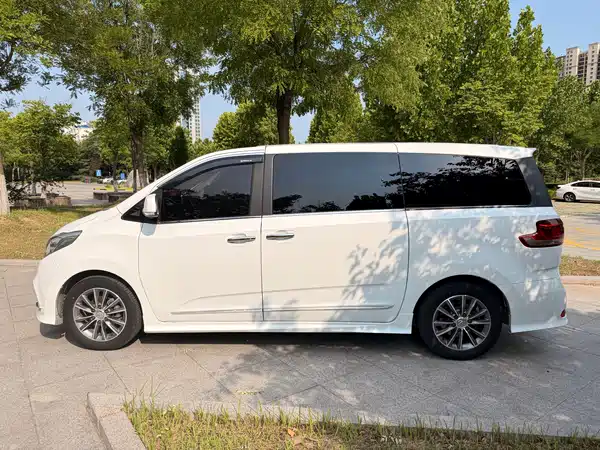 Maxus G10 2018