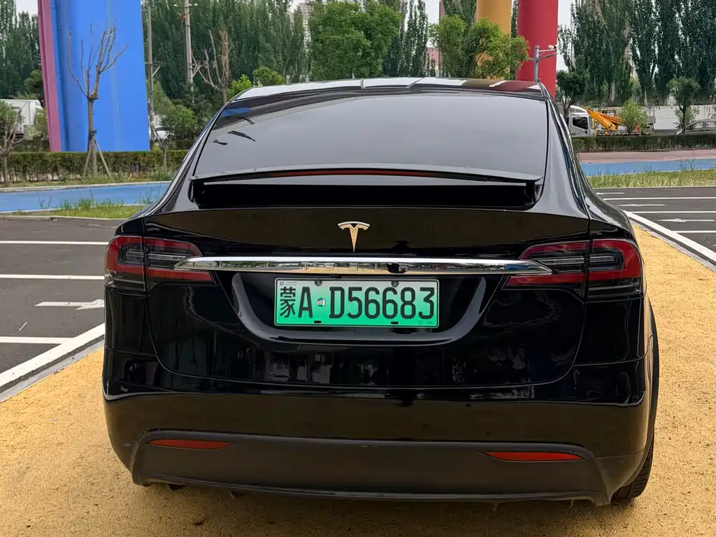 Tesla Model X 2019 — фото 5