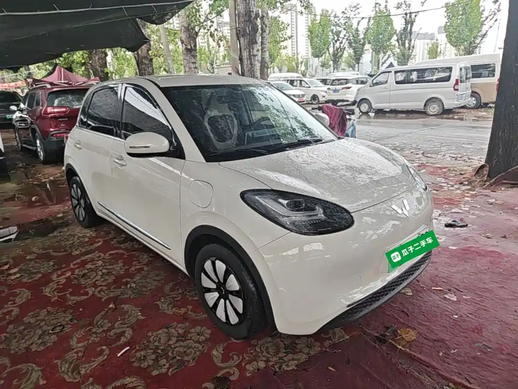 Wuling Bingo 2024